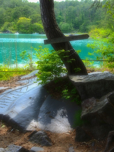 M5253048_2048x1536_補正済.jpg