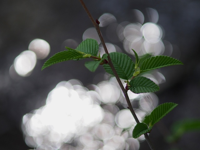 M5253218_2048x1536_補正済.jpg