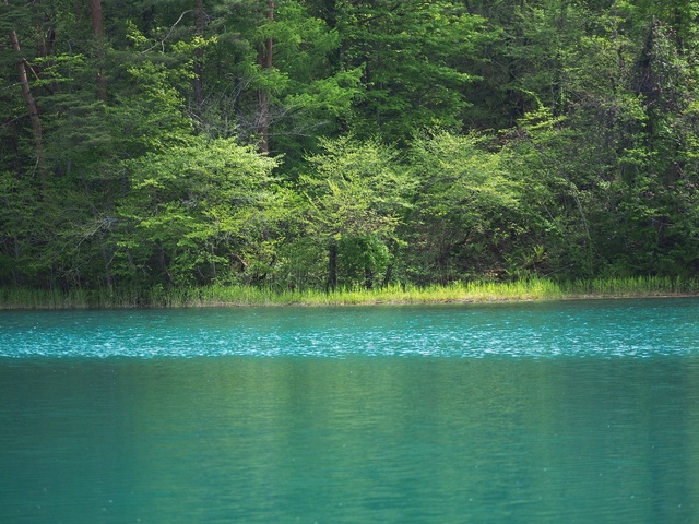 M5253222_2048x1536_補正済.jpg