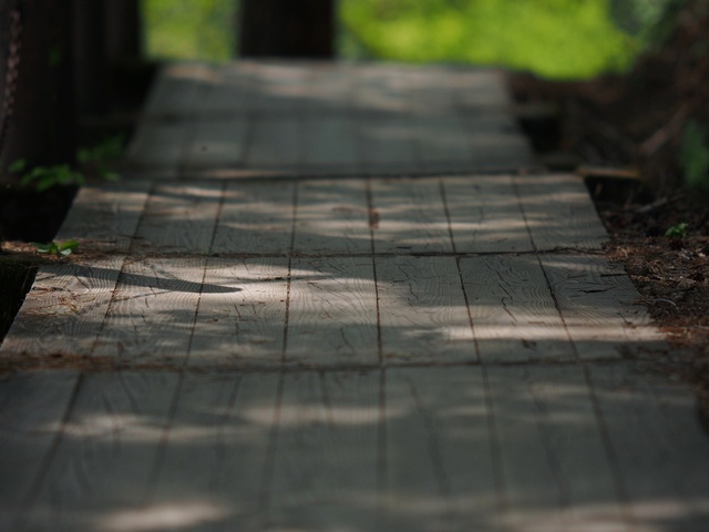 M5253248_2048x1536_補正済.jpg