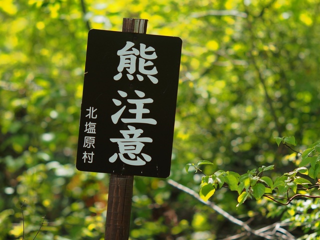 M5253264_2048x1536_補正済.jpg