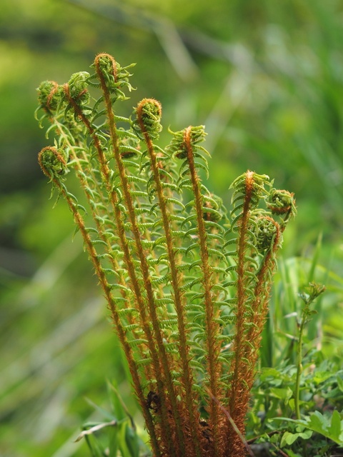 M5253278_2048x1536_補正済.jpg