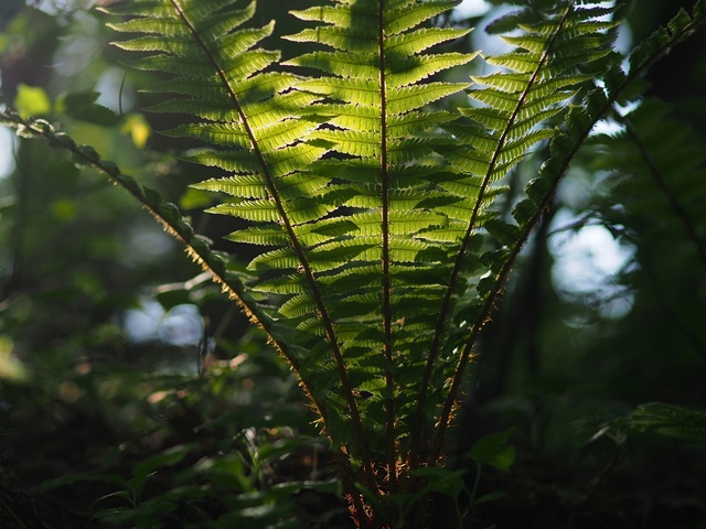 M5253313_2048x1536_補正済.jpg