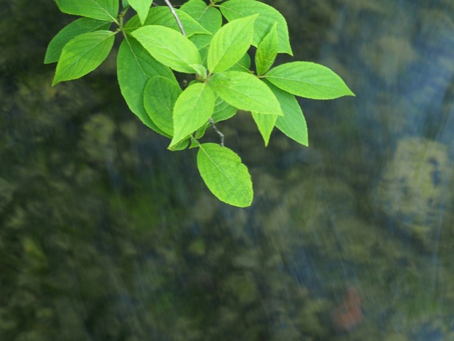 M5253353_2048x1536_補正済.jpg