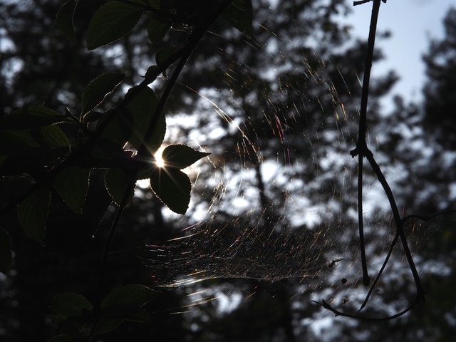 M5253411_2048x1536_補正済.jpg