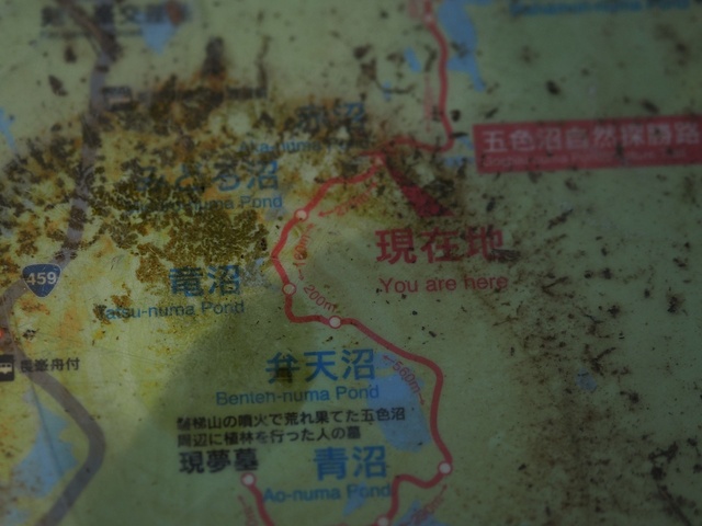 M5253415_2048x1536__補正済.jpg