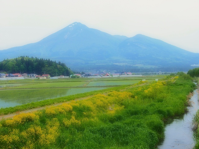M5263666_2048x1536_補正済.jpg
