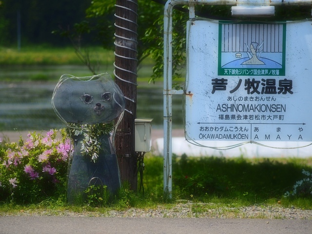 M5263729_2048x1536_補正済.jpg