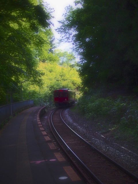 M5263987_2048x1536_補正済.jpg