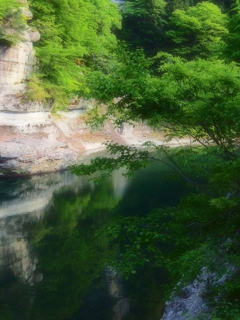 M5264029_2048x1536_補正済.jpg