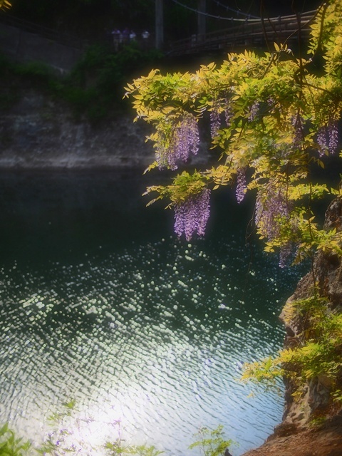 M5264070_2048x1536_補正済.jpg