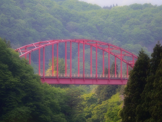 M5264081_2048x1536_補正済.jpg