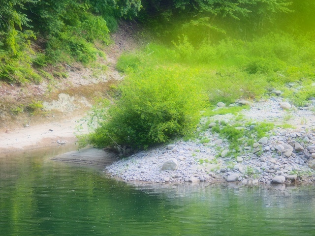 M5264085_2048x1536_補正済.jpg