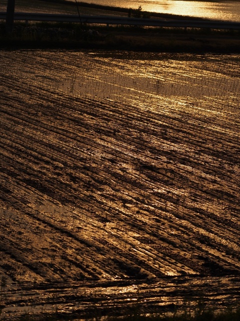 M5264153_2048x1536_補正済.jpg