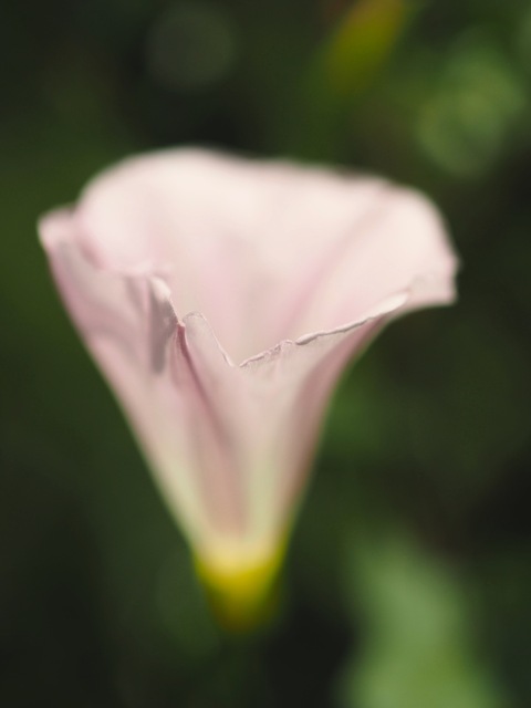 M5311676_2048x1536_補正済.jpg