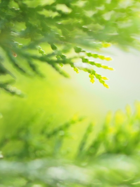 M5311736_2048x1536_補正済.jpg