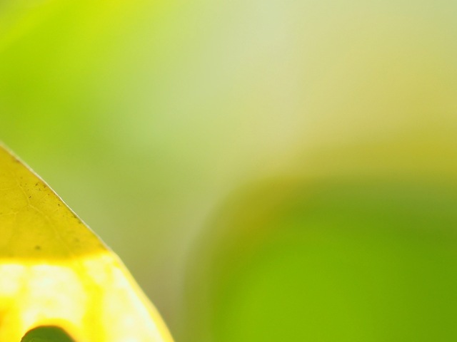 M5311739_2048x1536_補正済.jpg