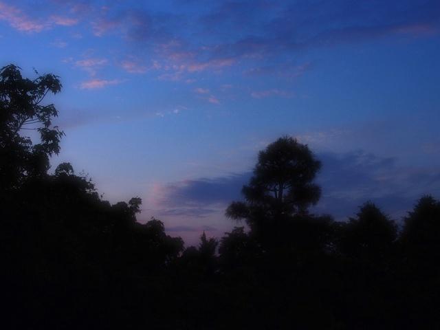 M6024333_2048x1536_補正済.jpg
