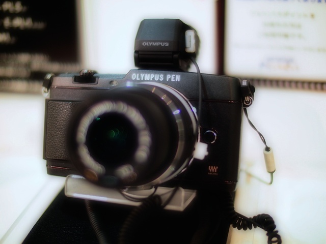 M6054528_2048x1536_補正済.jpg