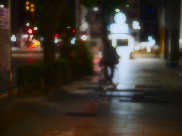 M6054555_2048x1536_補正済.jpg
