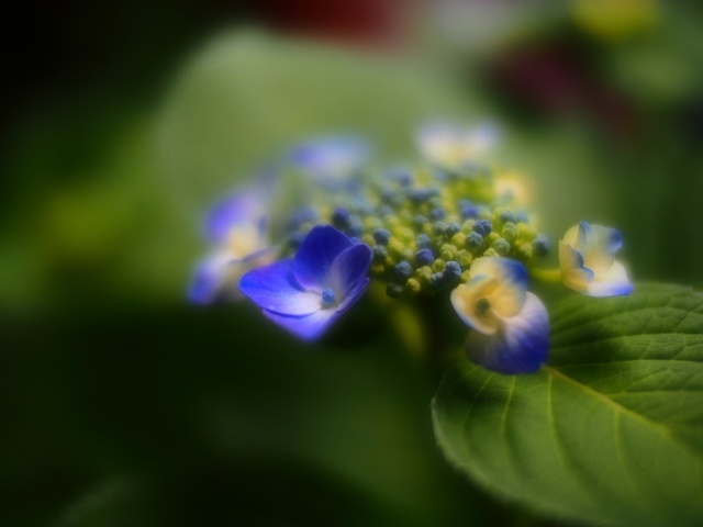 M6074606_2048x1536_補正済.jpg