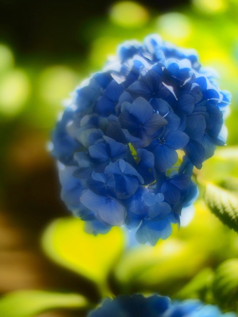 M6074627_2048x1536_補正済.jpg