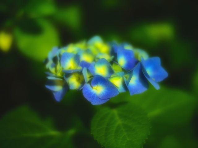 M6074701_2048x1536_補正済.jpg
