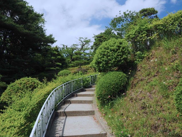 M7127019_2048x1536_補正済.jpg