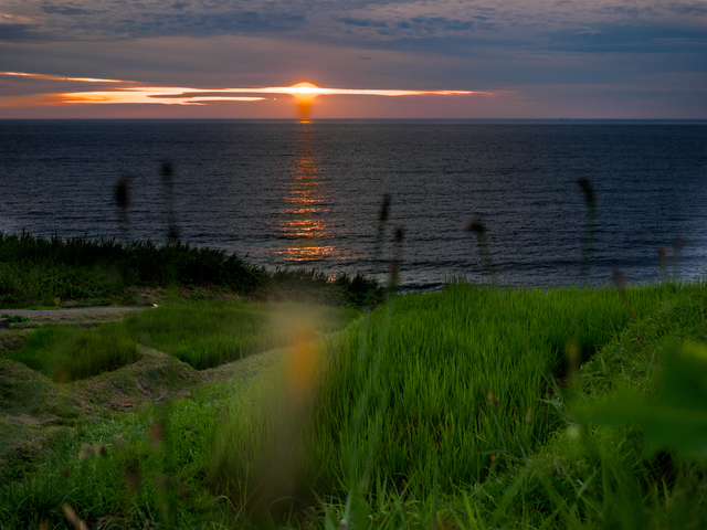 M7240342_CameraRAW_2048.jpg
