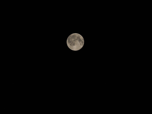 M7311775_2048x1365.jpg