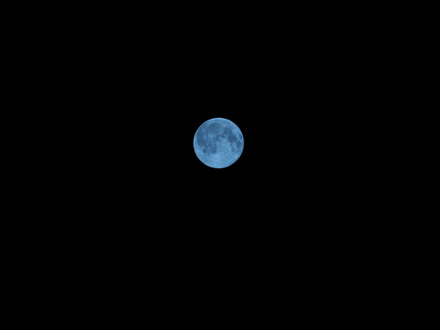 M7311783_2048x1365.jpg
