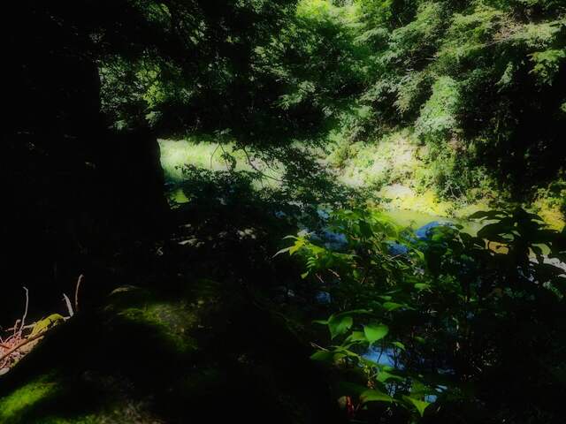 M8302238_2048x1536_補正済.jpg