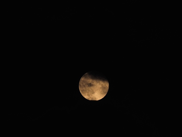 M9092584_2048x1536_補正済.jpg