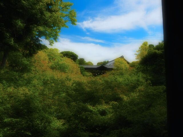 M9214071_2048x1536_補正済.jpg
