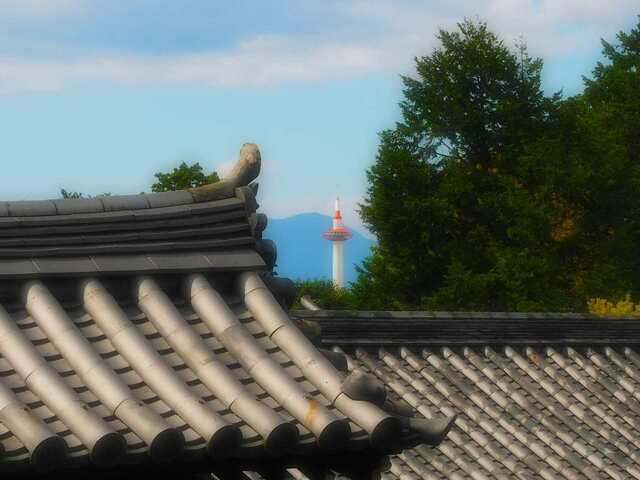 M9214147_2048x1536_補正済.jpg