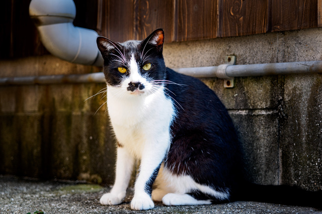 M9281650_CameraRAW_2048.jpg