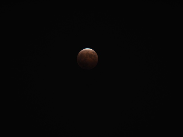 MA085577_2048x1536_補正済.jpg