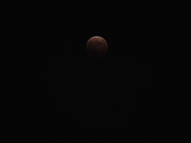 MA085590_2048x1536_補正済.jpg