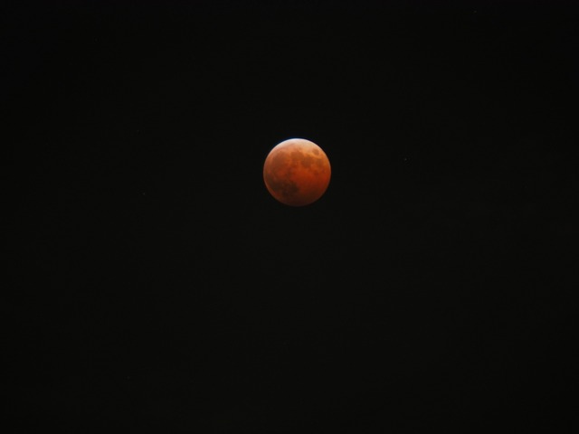 MA085604_2048x1536_補正済.jpg