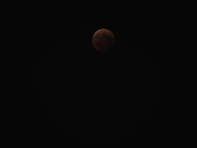 MA085650_2048x1536_補正済.jpg