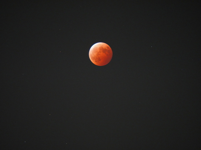 MA085720_2048x1536_補正済.jpg