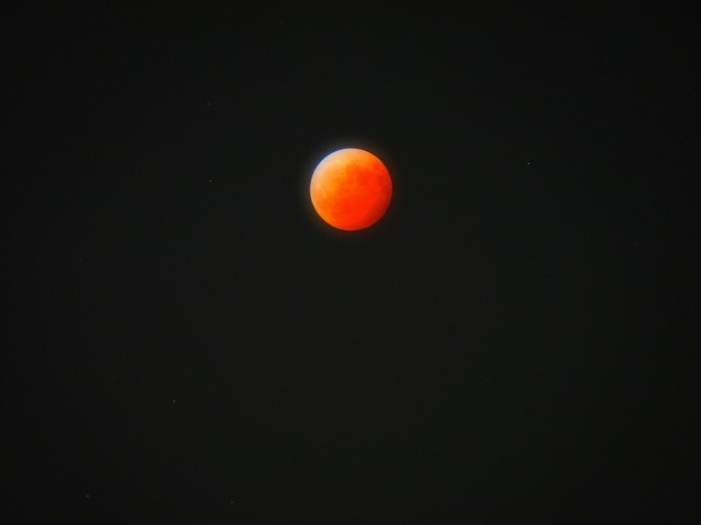 MA085721_2048x1536_補正済.jpg