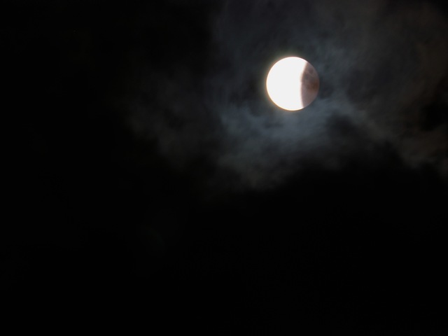 MA085994_2048x1536_補正済.jpg