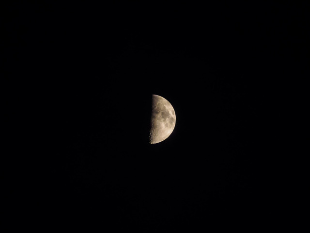MA090159_CameraRAW_2048.jpg