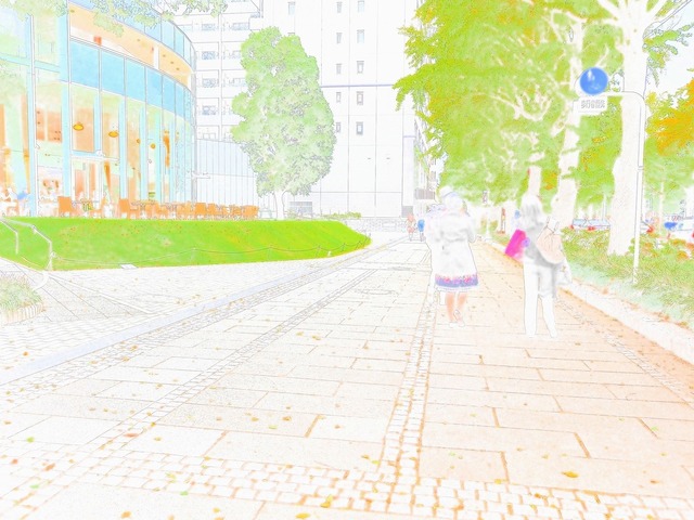 MA190553_2048x1536_補正済.jpg