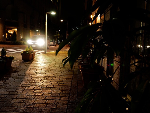 MA220881_2048x1536_補正済.jpg