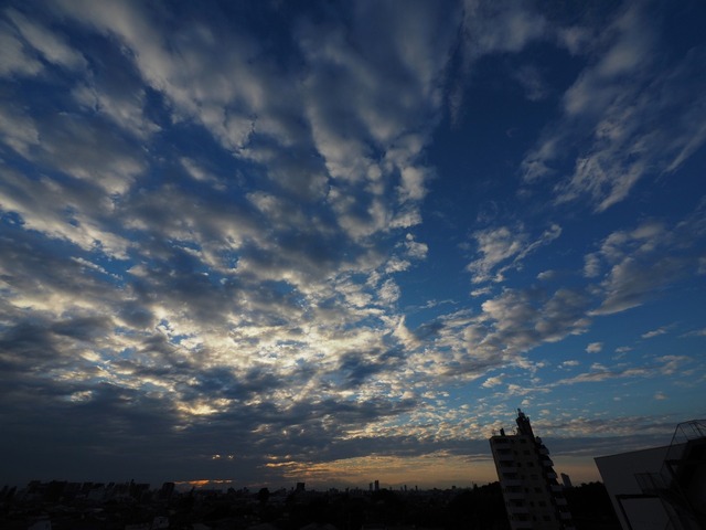 MA260998_2048x1536_補正済.jpg
