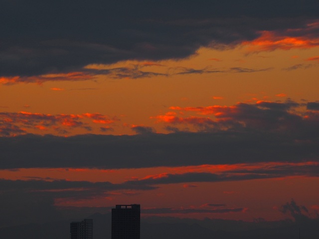 MA261068_2048x1536_補正済.jpg