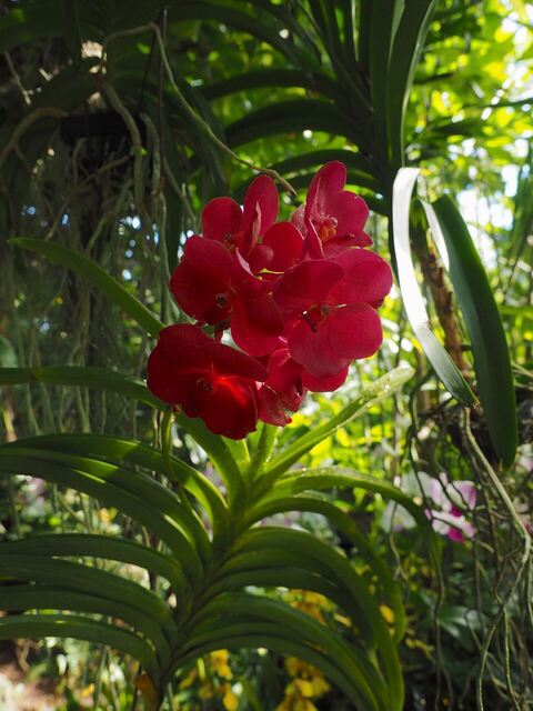 MB048916_2048x1536_補正済.jpg