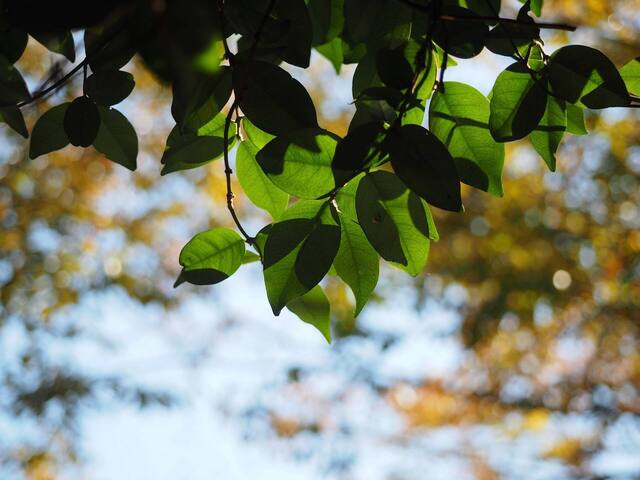 MB048932_2048x1536_補正済.jpg